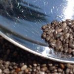 czym-to-sie-je-nasiona-chia